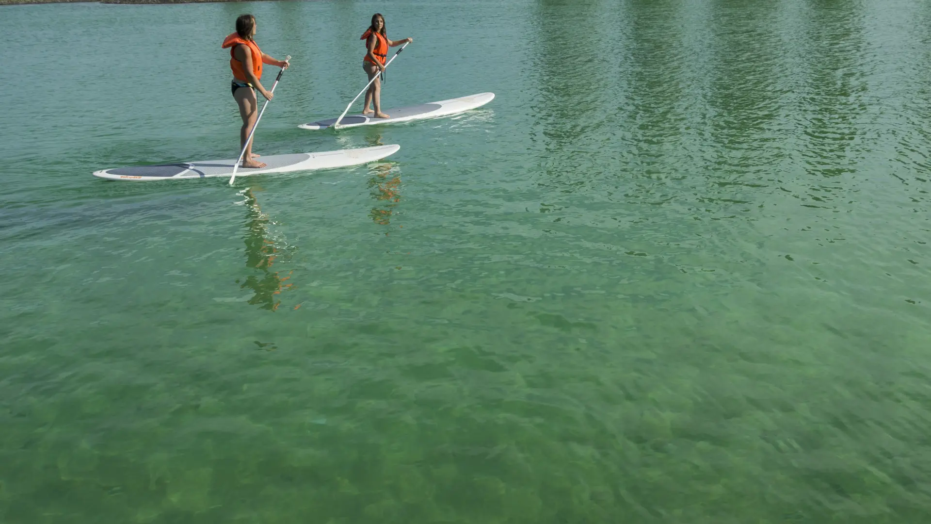 Stand up paddle