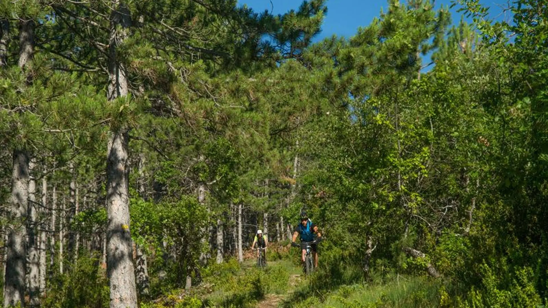 Traversée de la forêt Domaniale de la Méouge à VTT