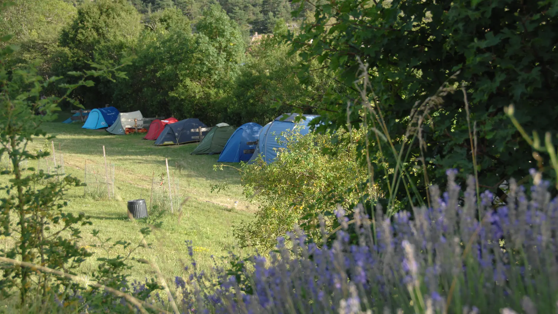 Camping à la ferme la Palud sur Verdon