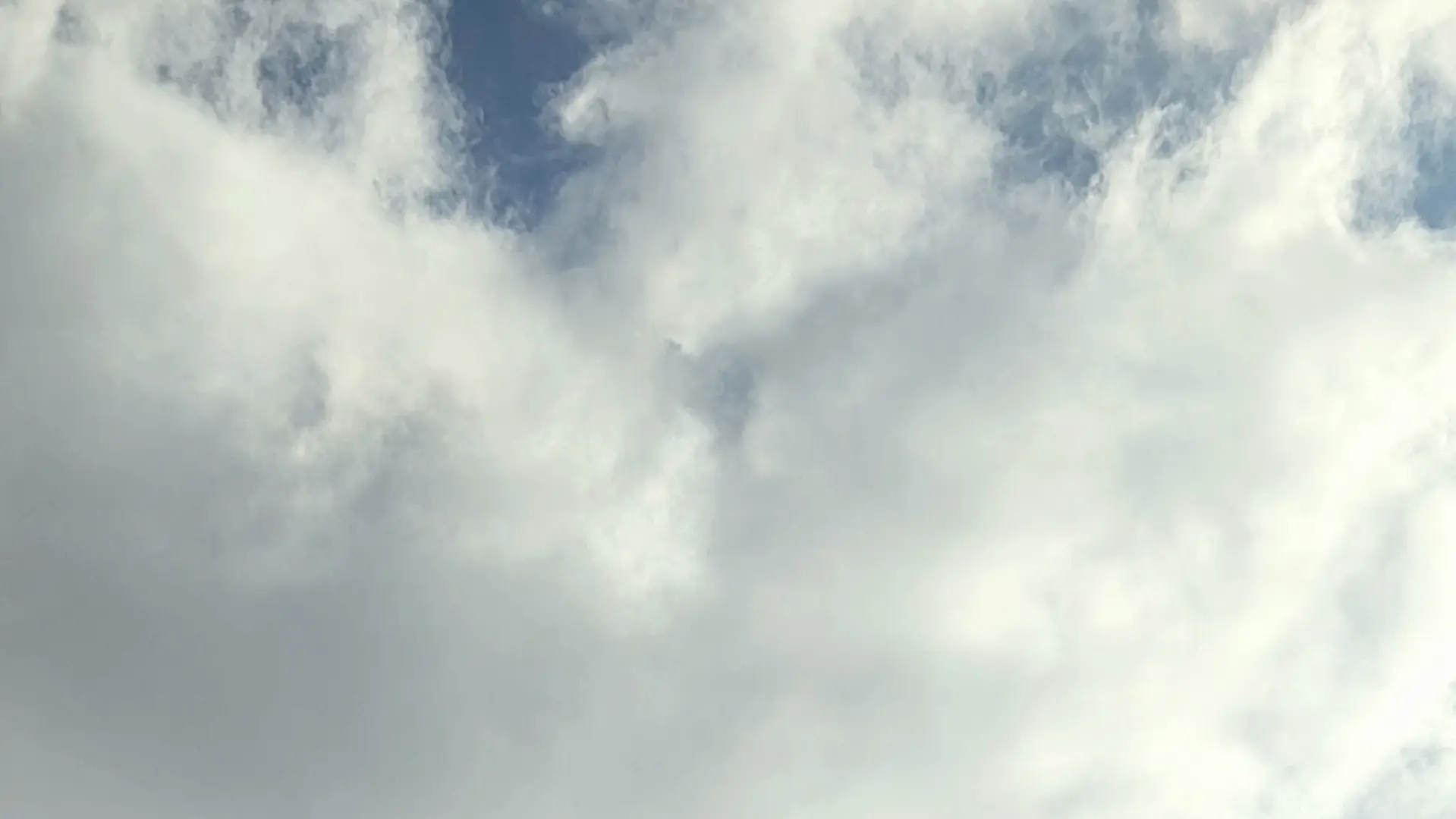 vue depuis la cuisine