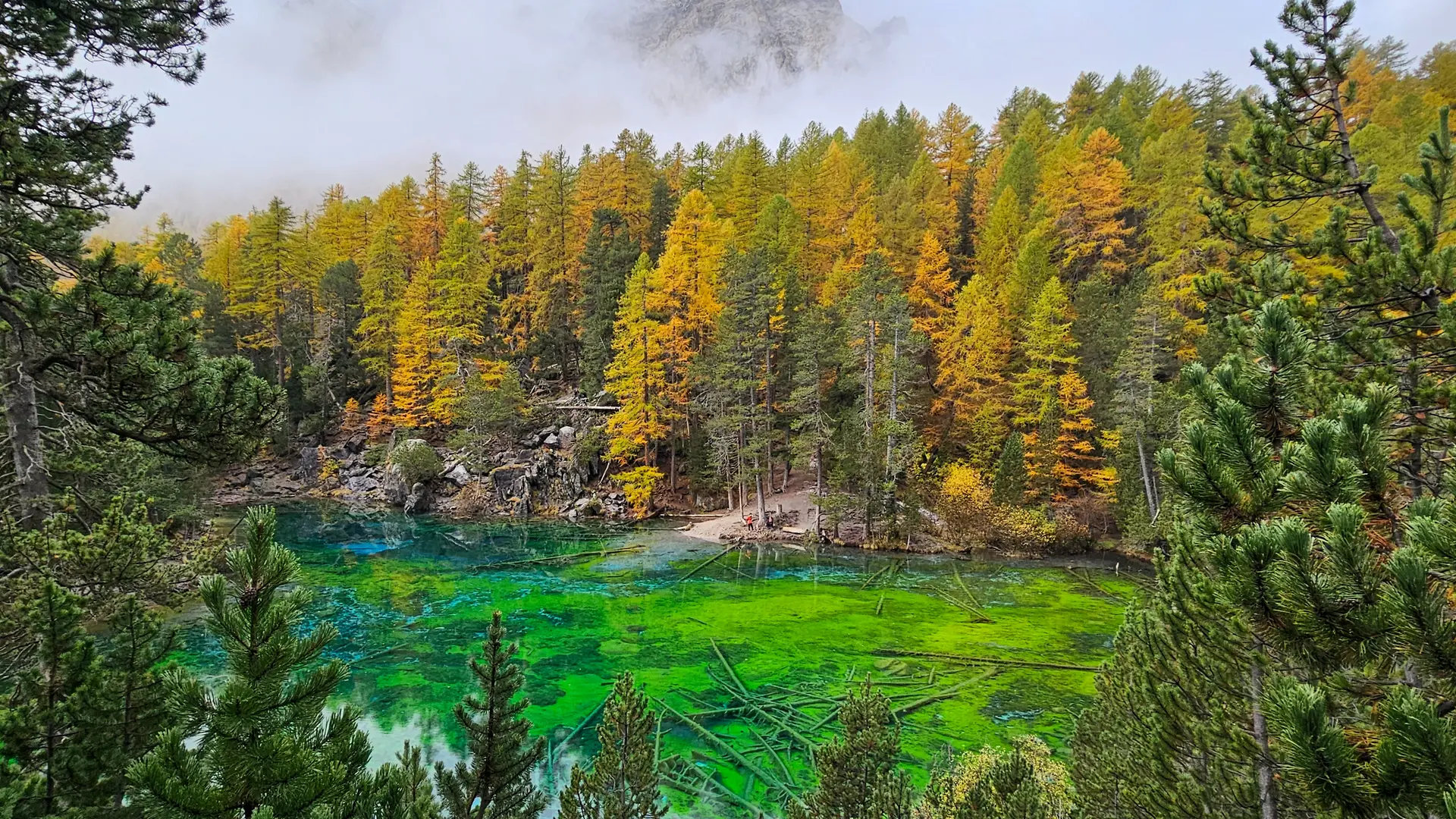Lac vert en vallée étroite