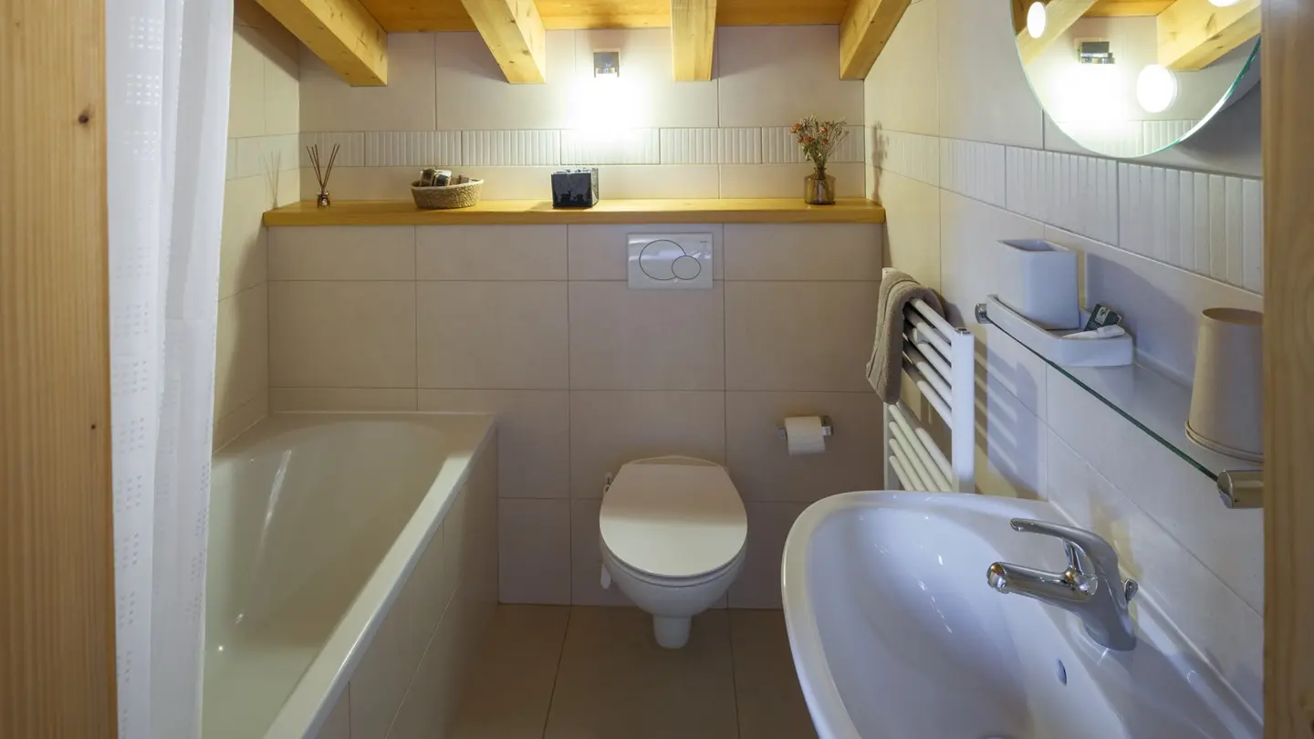 Salle de bains chambre Mont Blanc