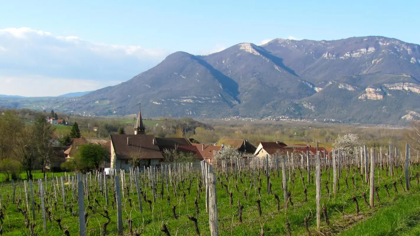 le grand colombier a 1534m d'altitude , et petite restauration en dessous de la croix ou auberge avec specialitè tarte aux mirtilles