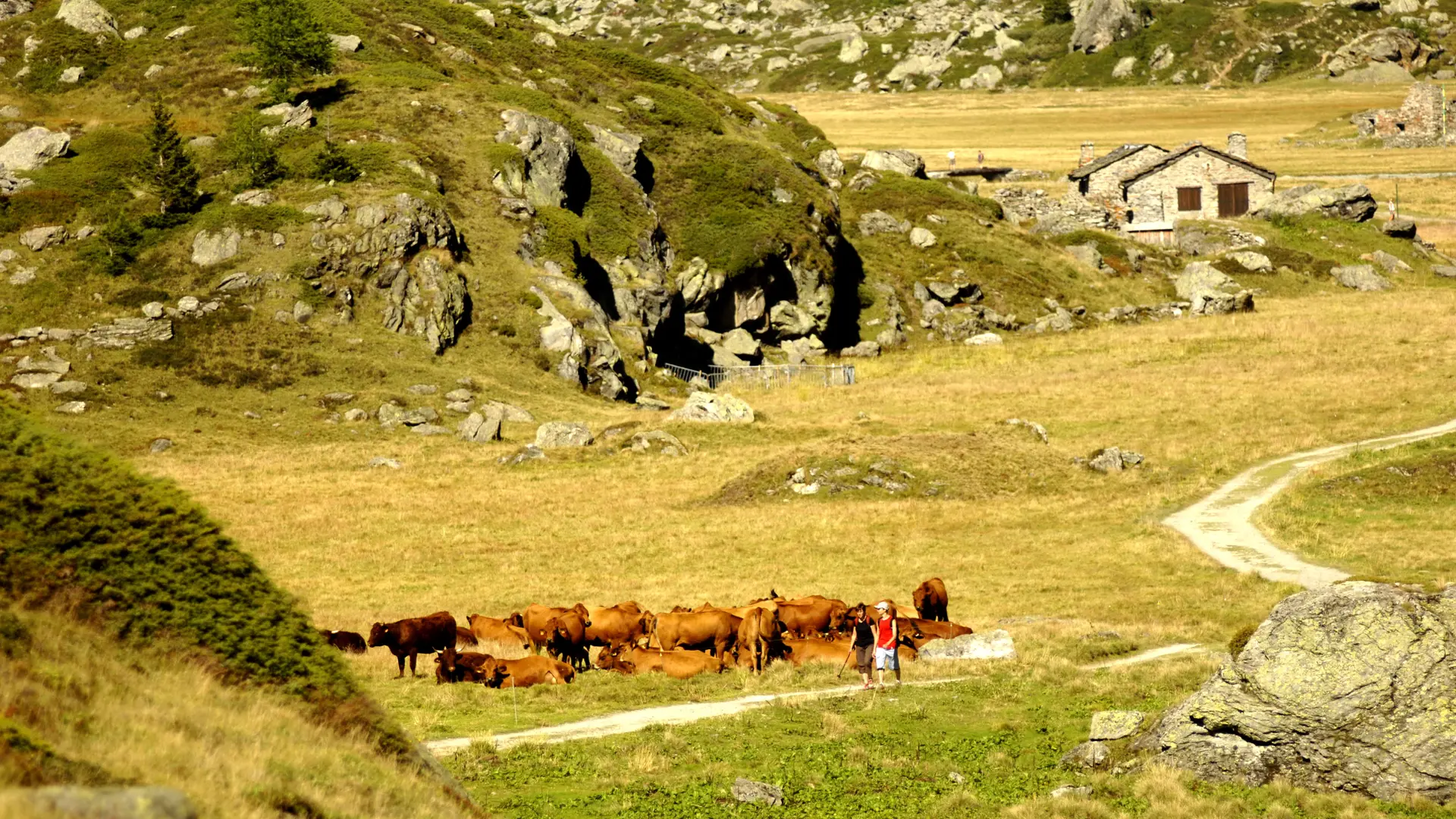 Randonnée à Sainte Foy