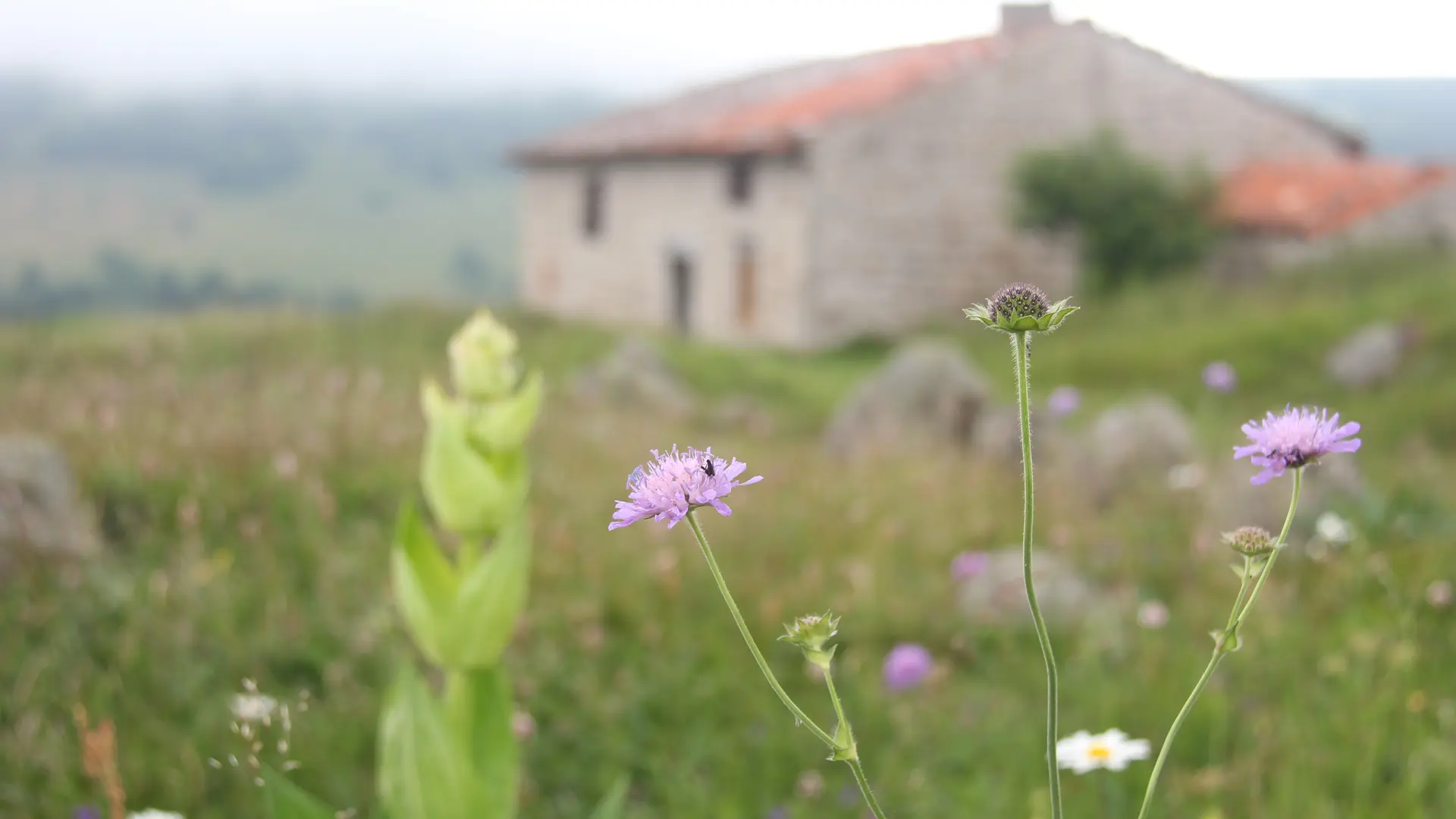 Jasserie Fayard Rozier accessible en visite