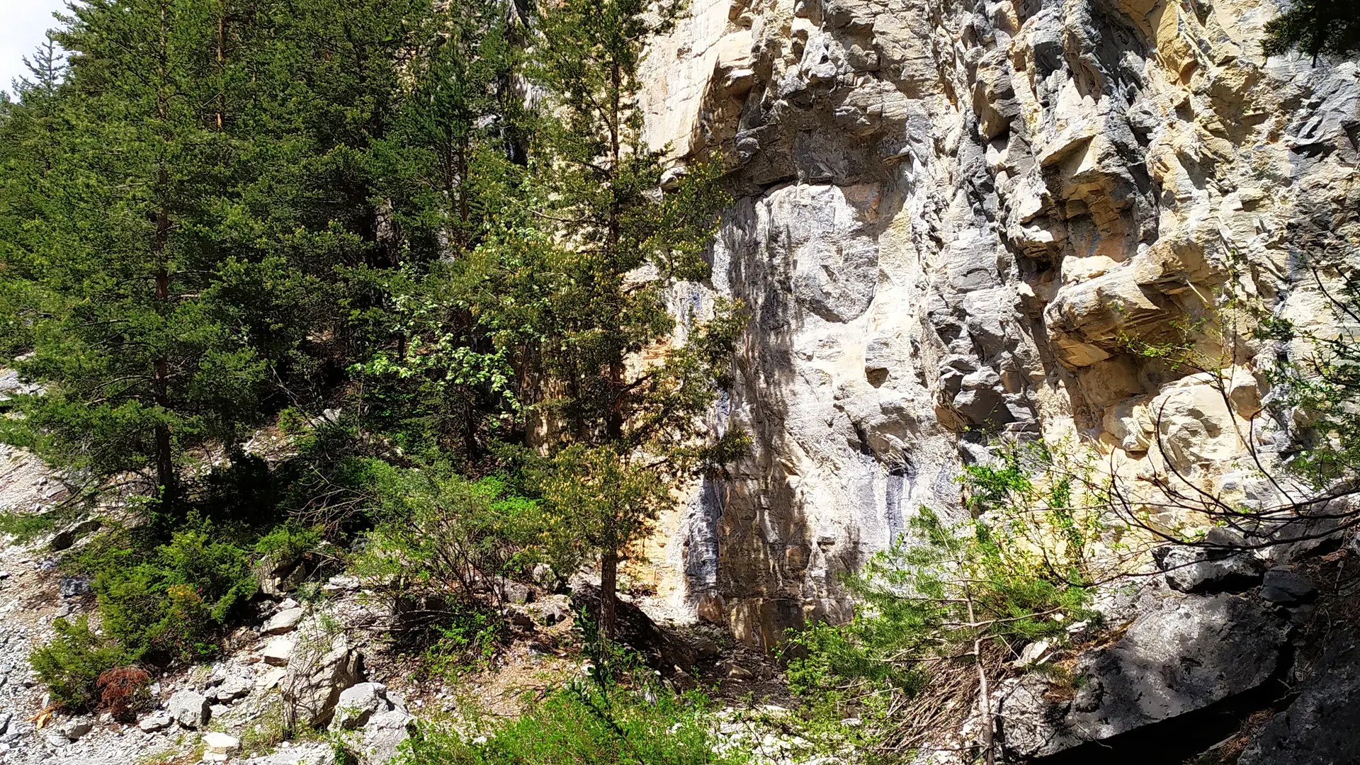 Escalade grimper en famille