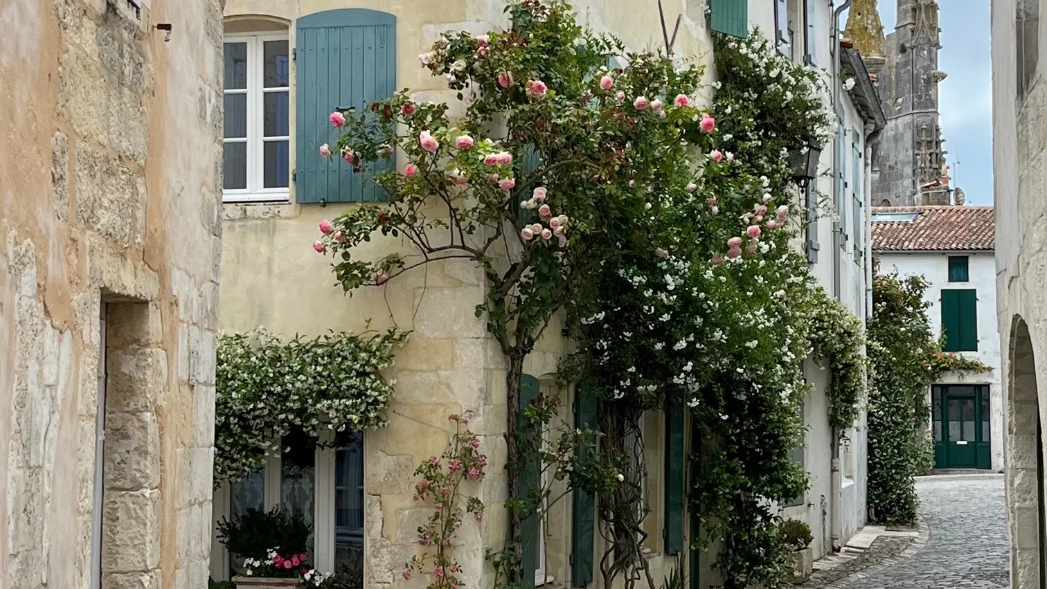 Ma petite cabane_Saint-Martin-de-Ré