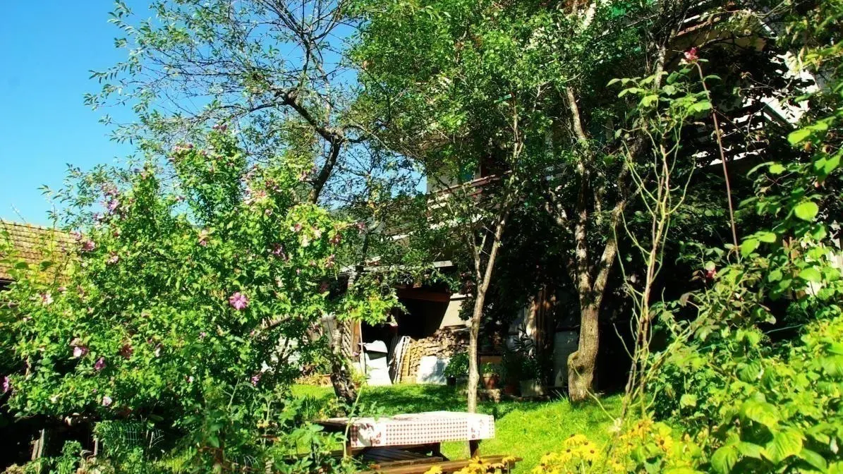 jardin