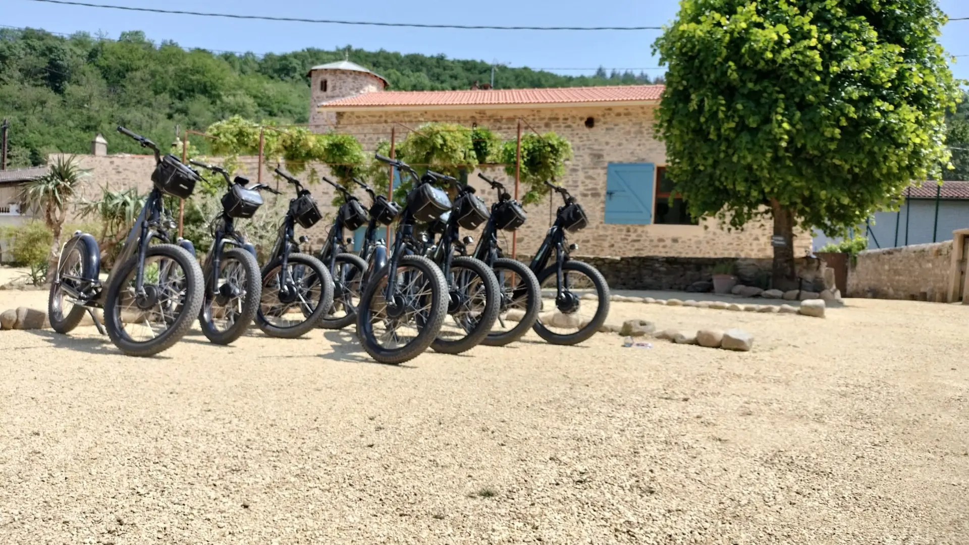 trottinettes