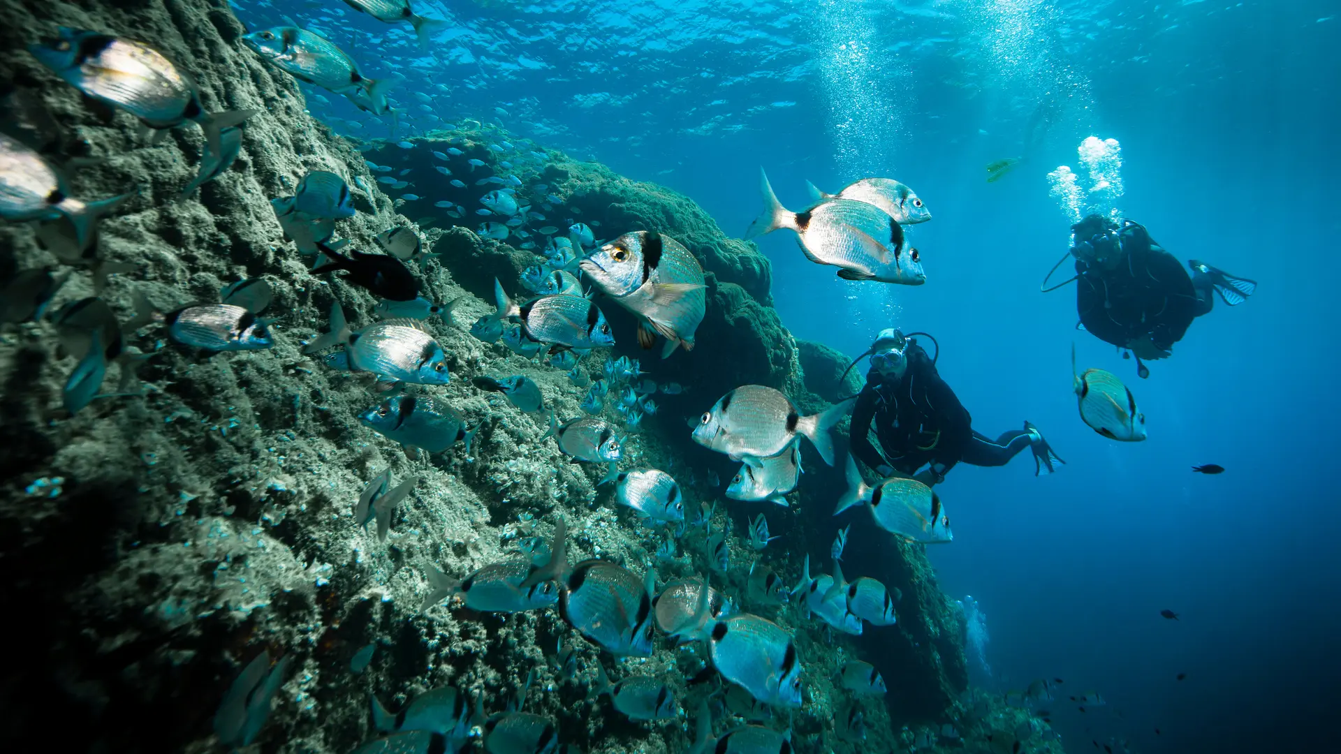 Scuba Diving Dune La Londe