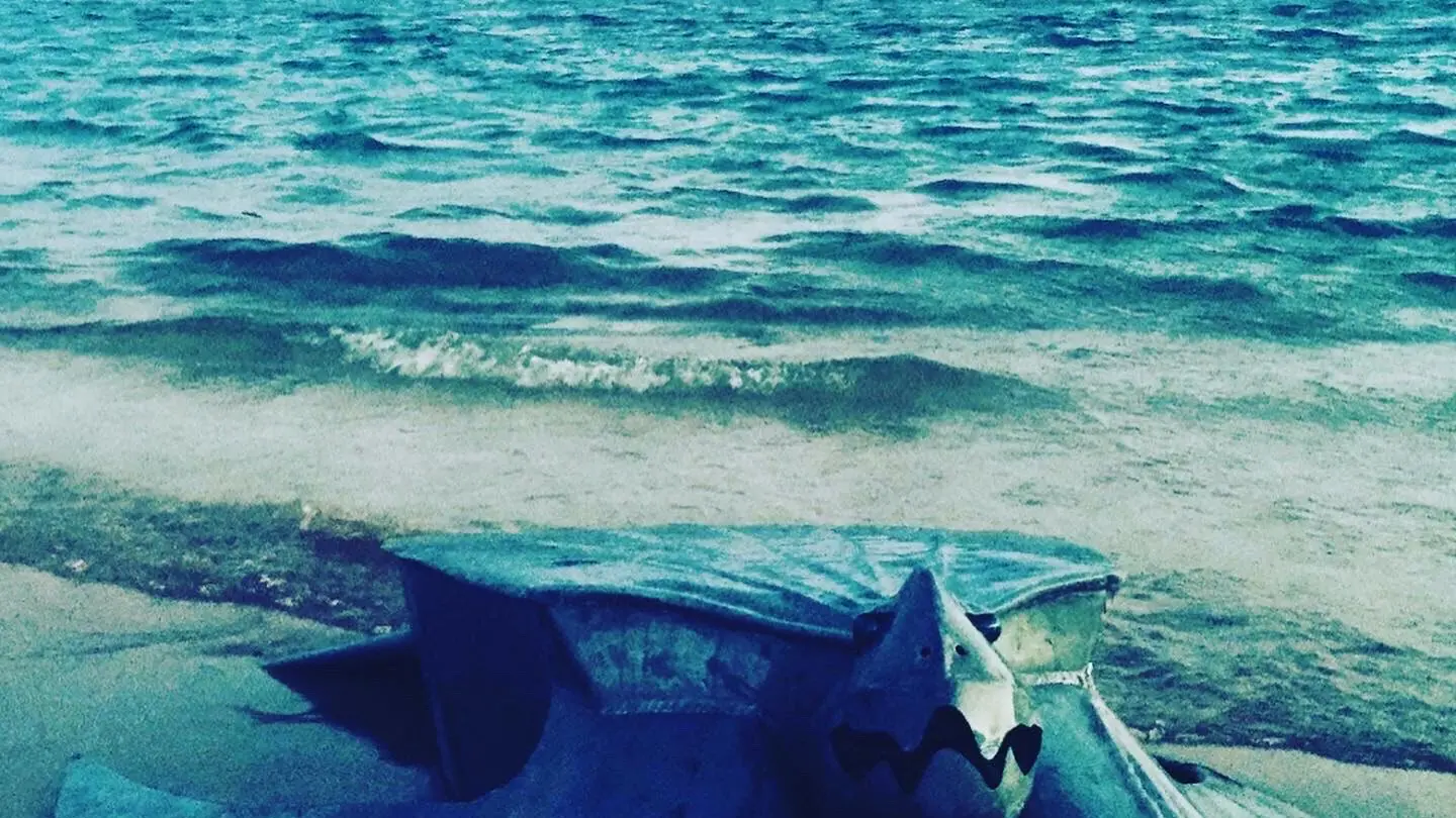 Le Zinglé_L'Isle-sur-la-Sorgue sculpture tortue en zinc