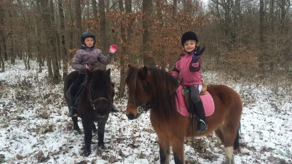 Bapteme poney