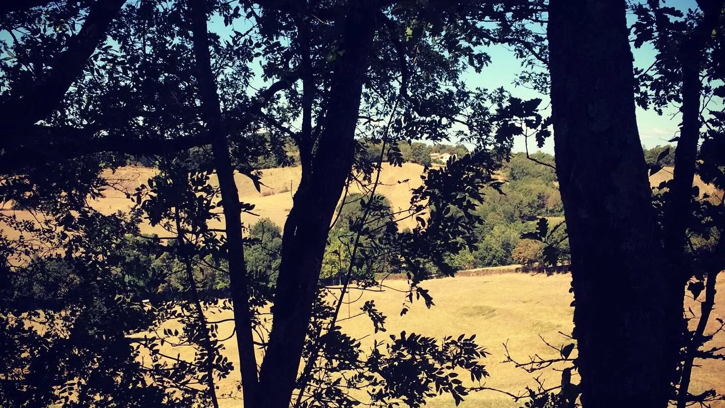 Des chemins de randonnée ombragés au départ de LOU PAPAGAI