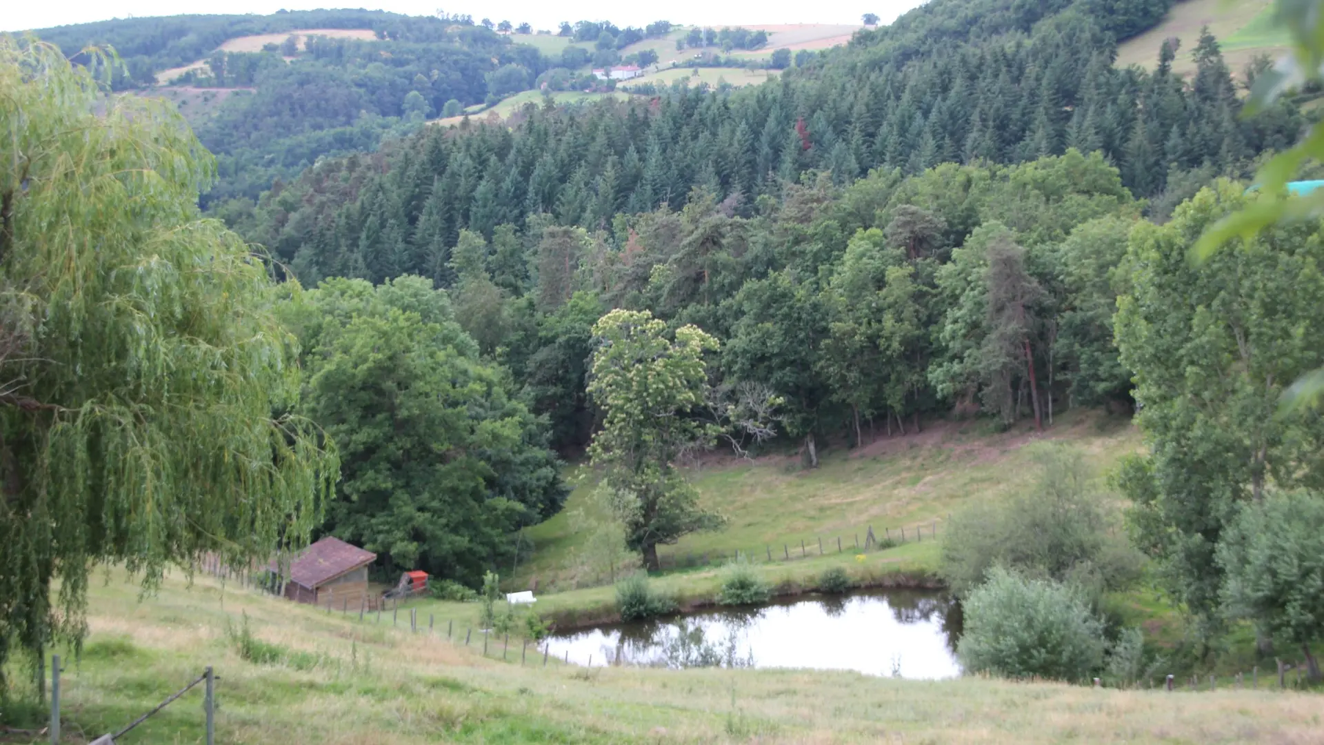 Etang