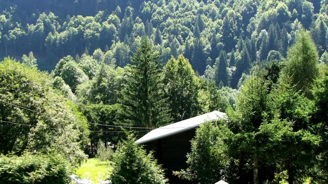 Vue du balcon