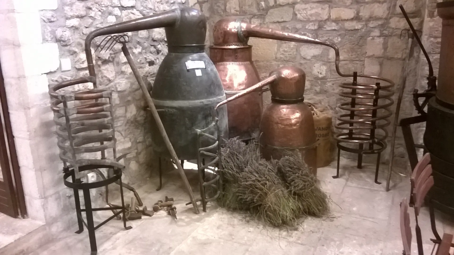 Distillation de lavande