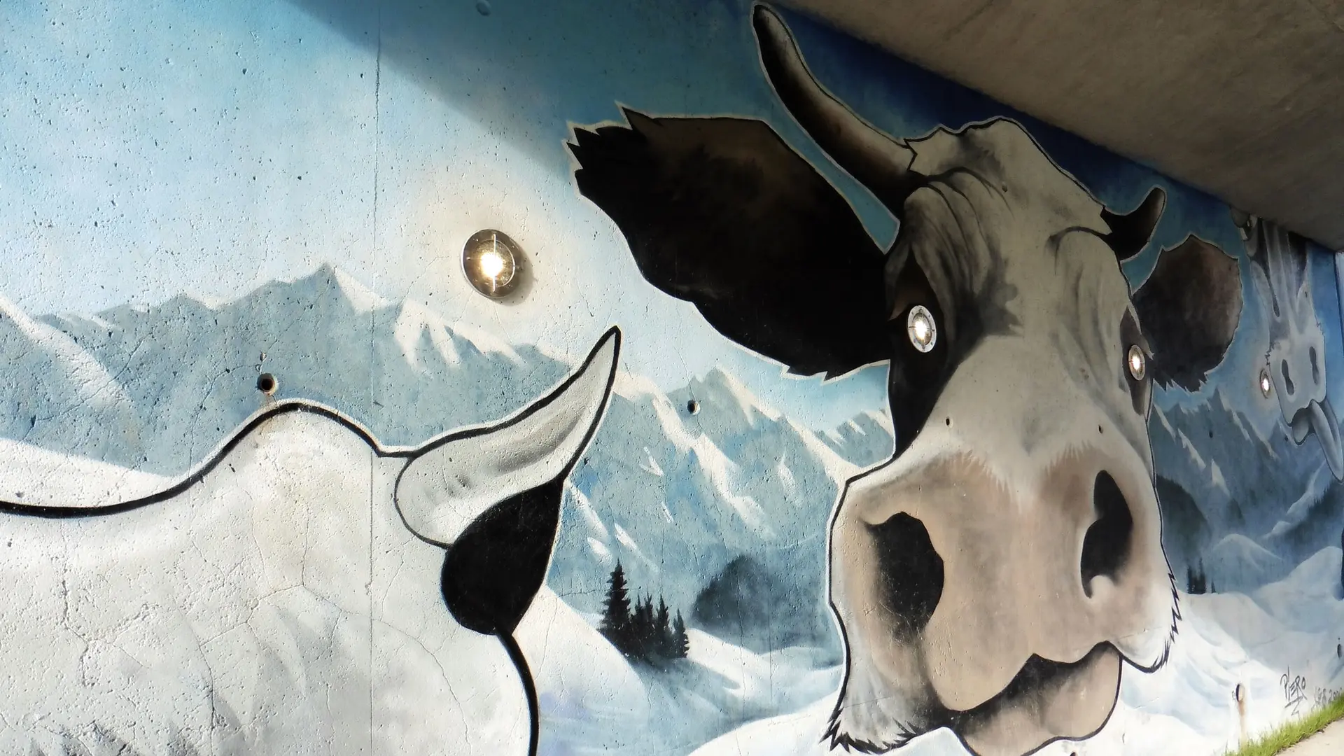 Art Vache : Les Yeux dans les Meuhs