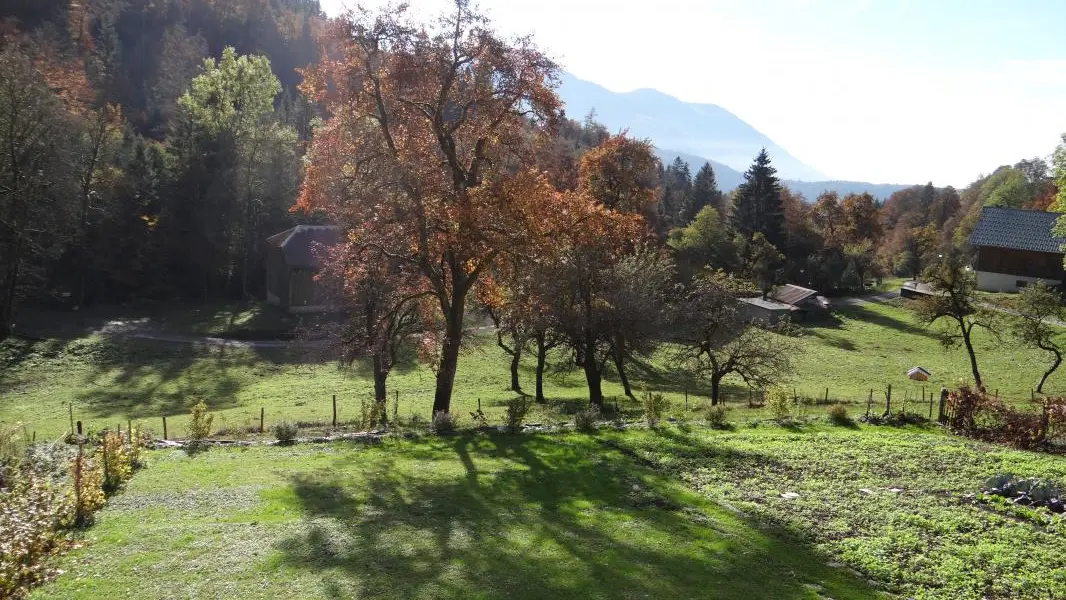 vue automnale depuis le gîte