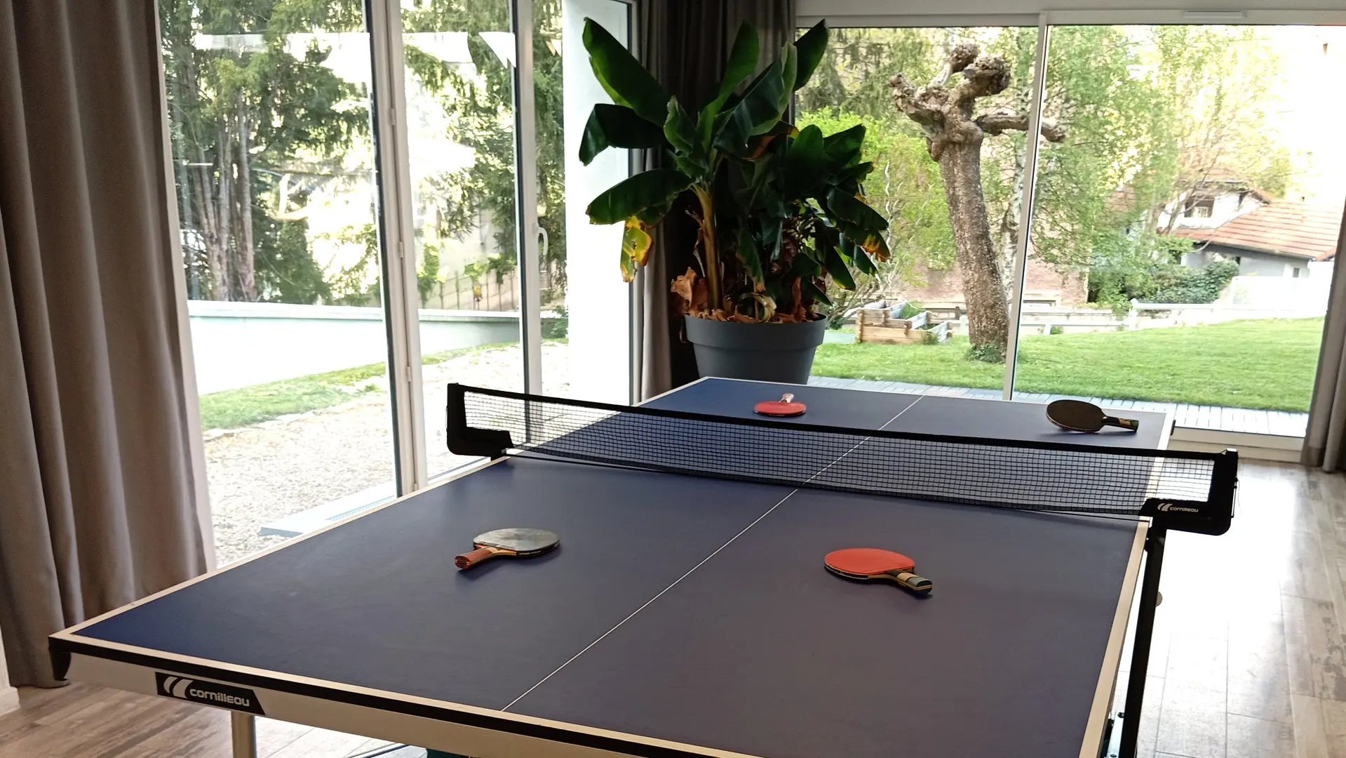 Table de ping pong