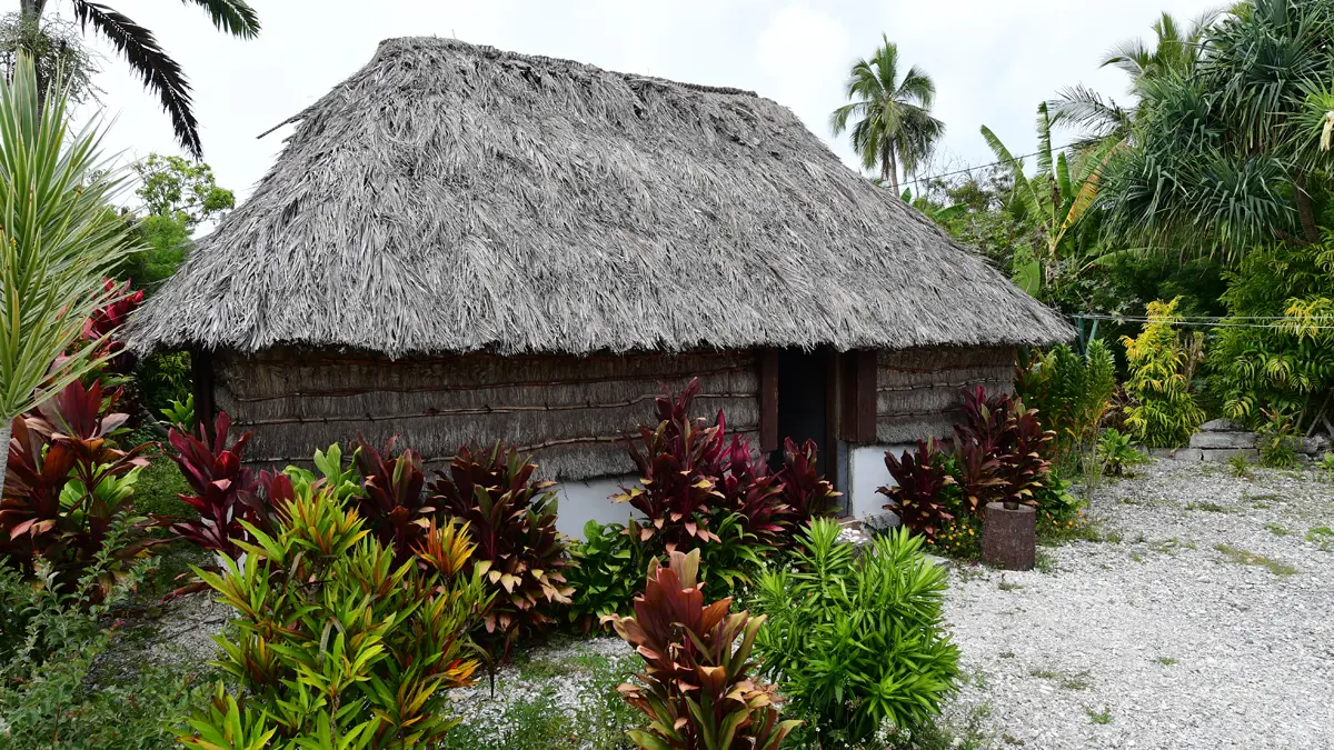 Thatched hut