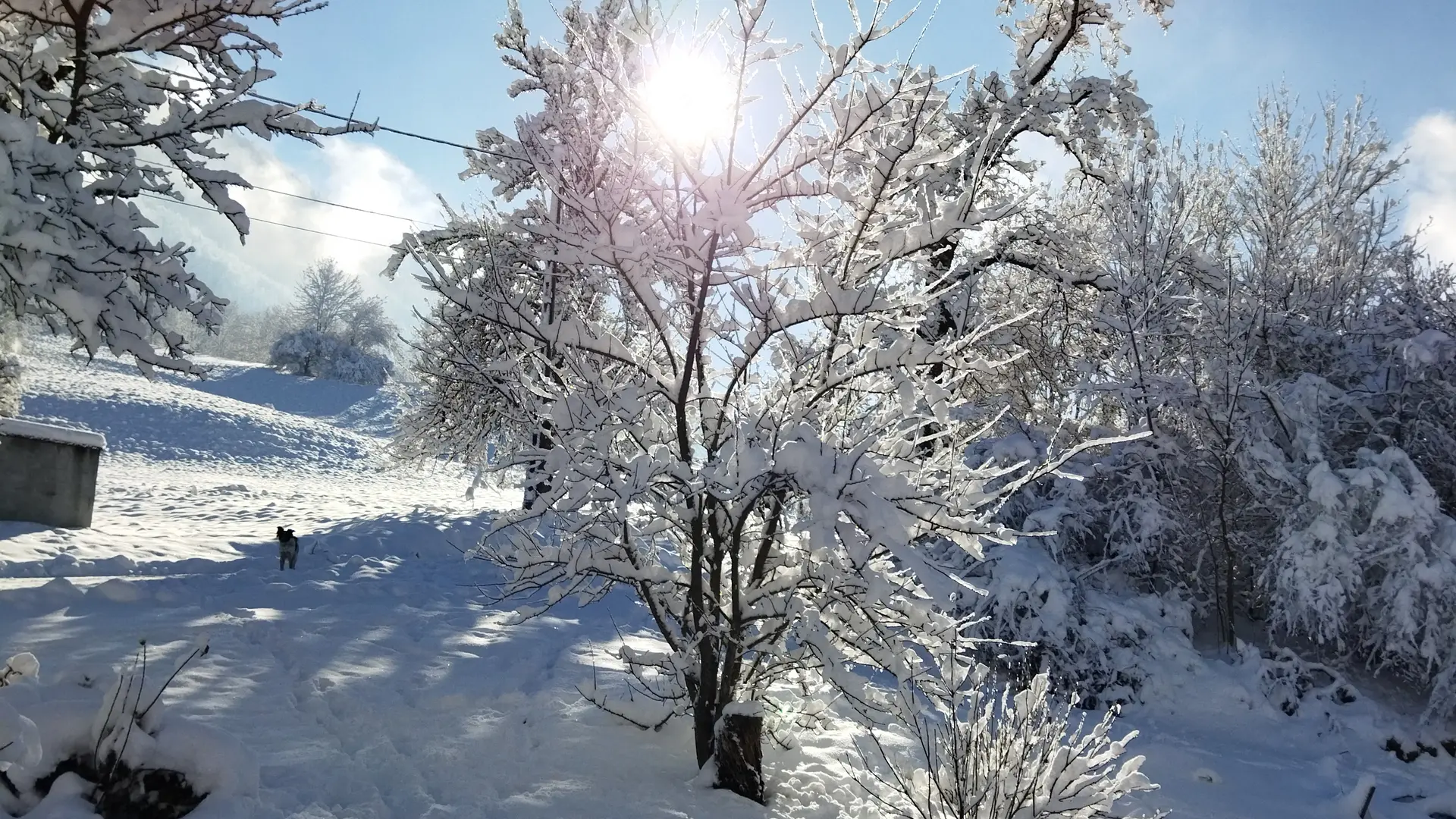 Vue depuis le nid