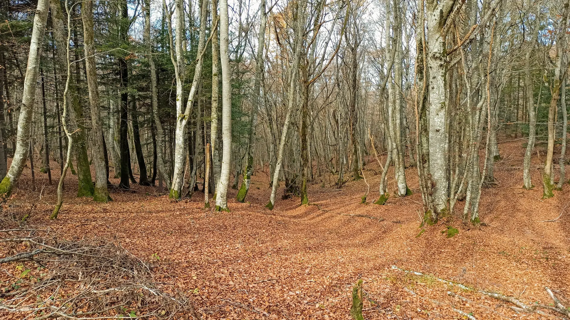 Randonnée VTT Au cœur des Puys