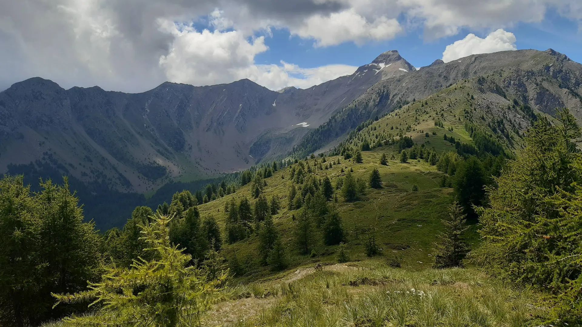 Sur la crête du Lauzet