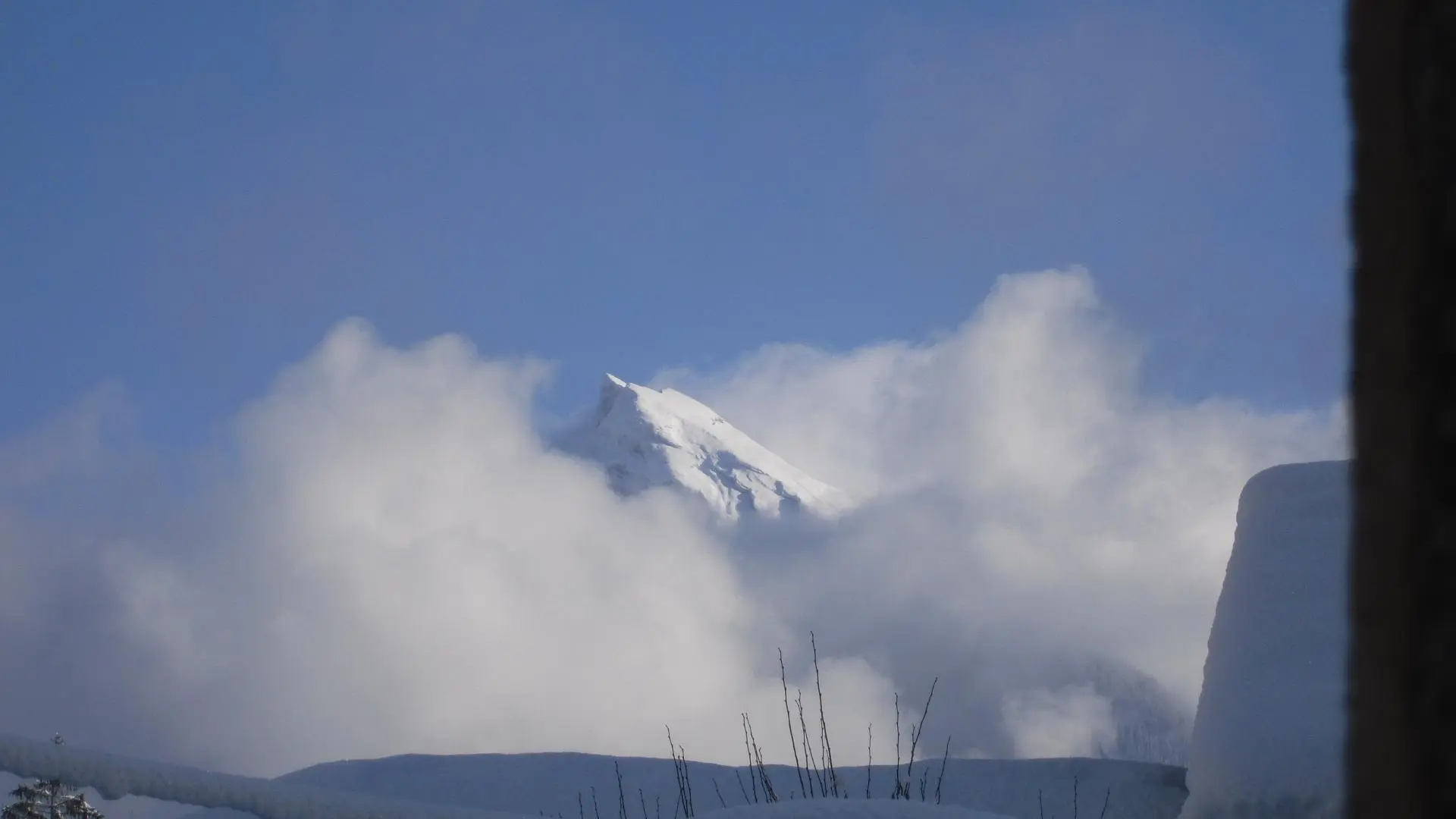 Le CRIOU vu de la maison