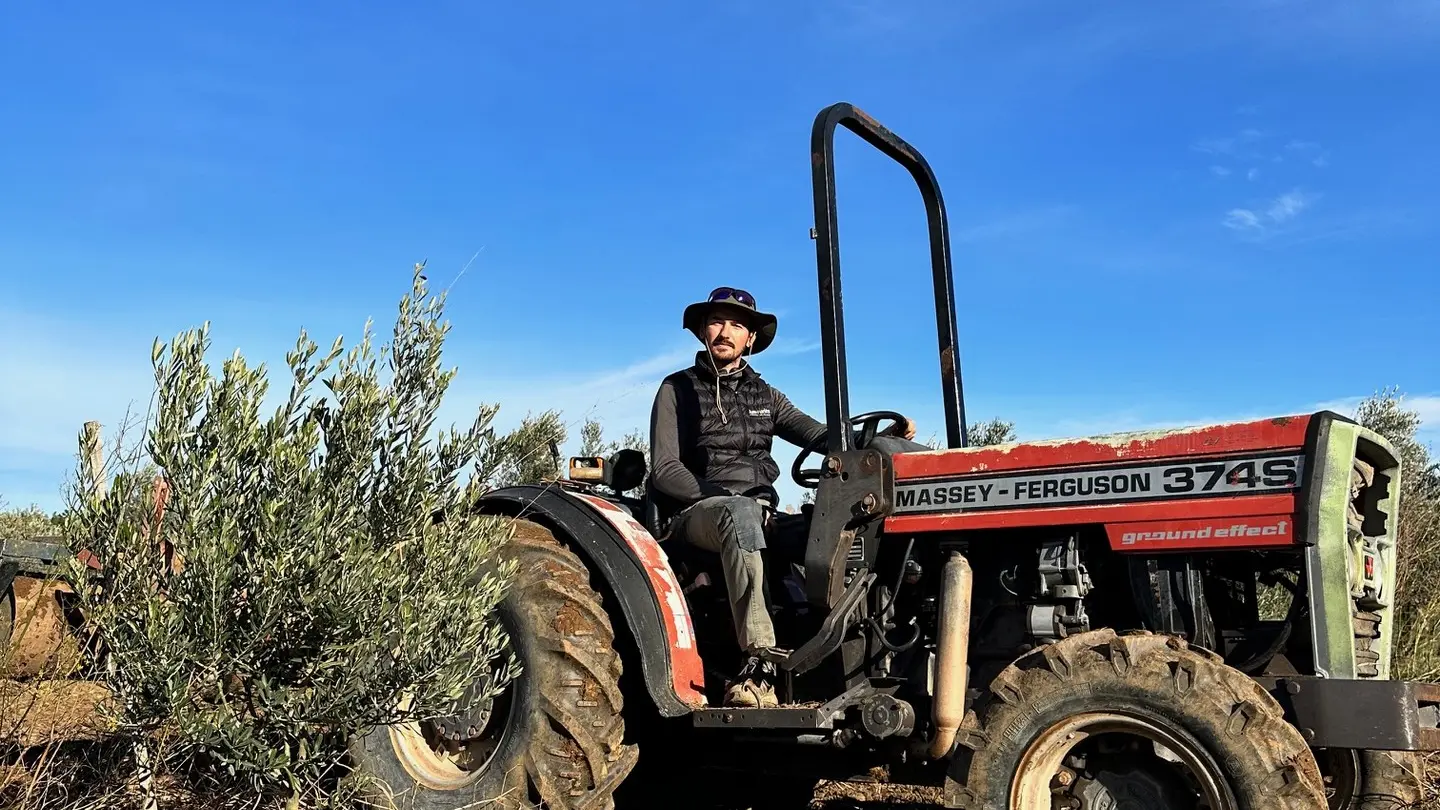 Amouriès - Domaine Delabarre Olive oil producer in Mouriès Tractor