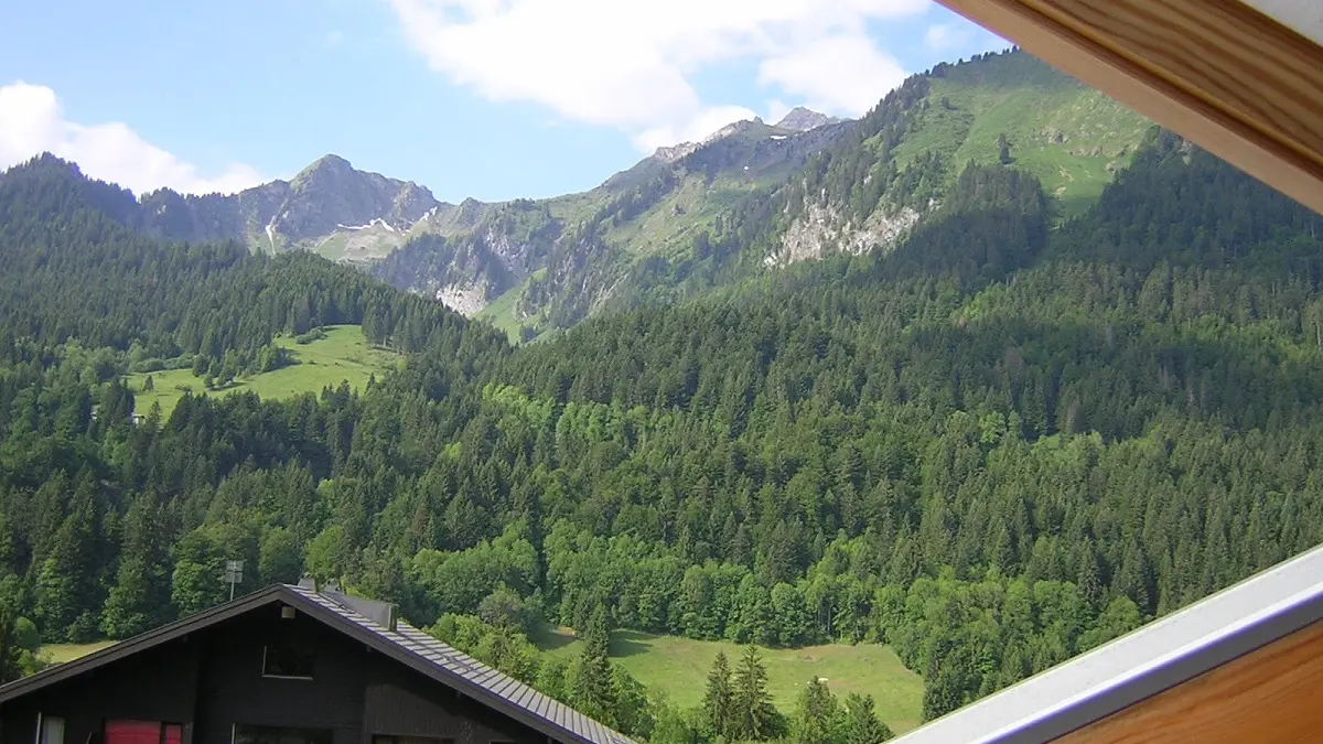 Vue extérieur été