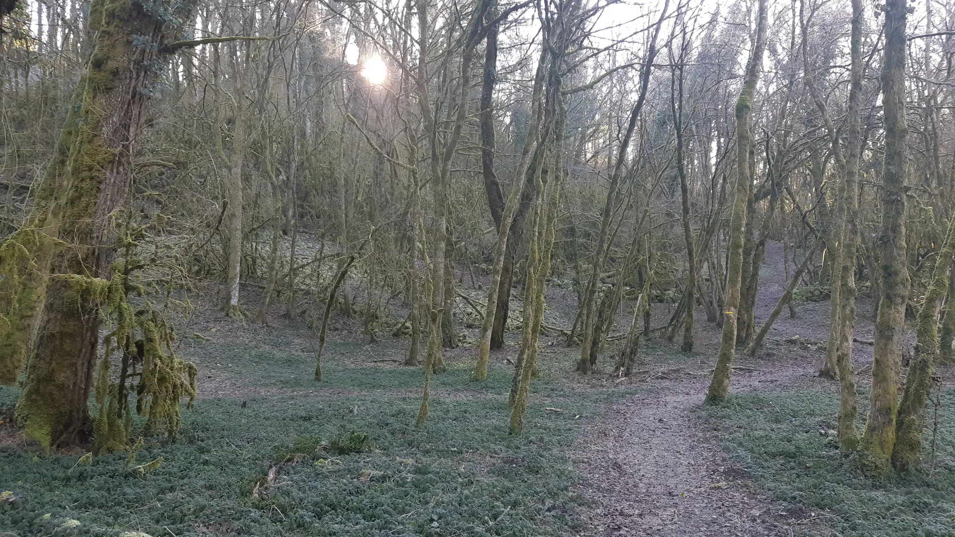 Sentier de St Maurice d'Echazeaux