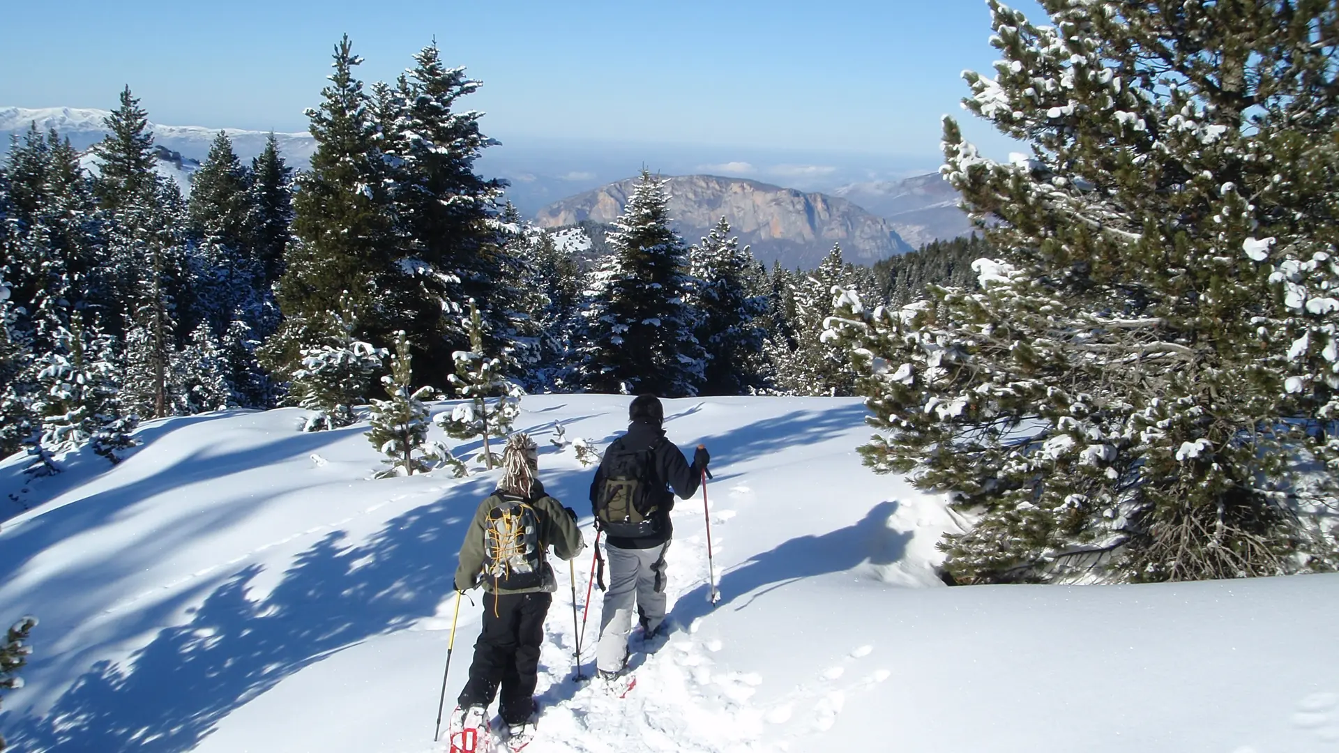 Raquettes à neige