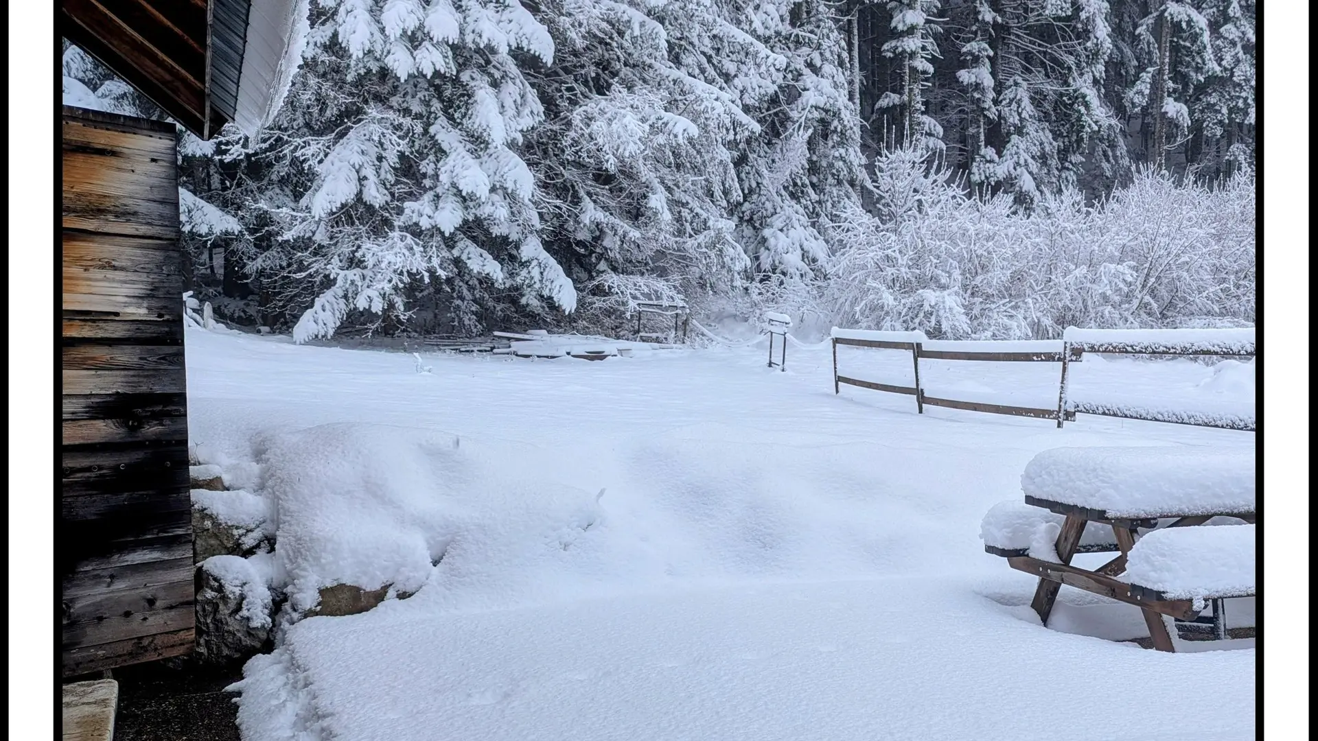 Vue sur le jardin en hiver