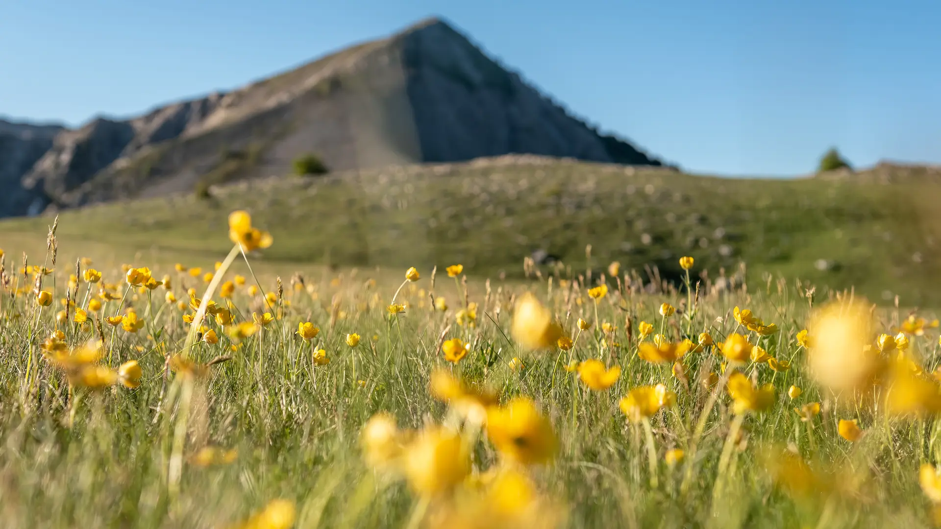 Etape Seyne - Le Laverq