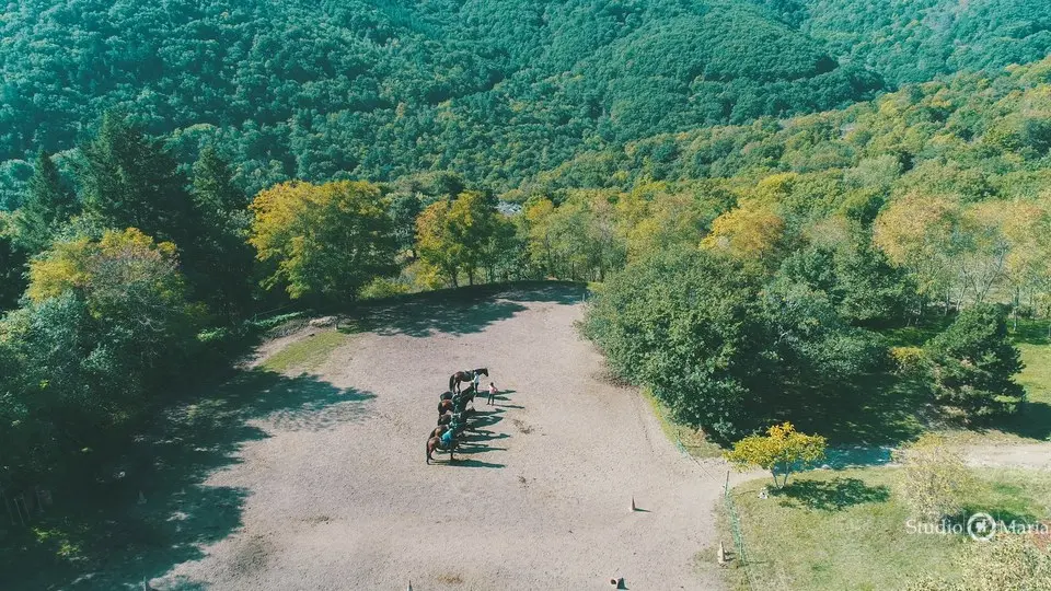 Ecole d'équitation de Chazeron