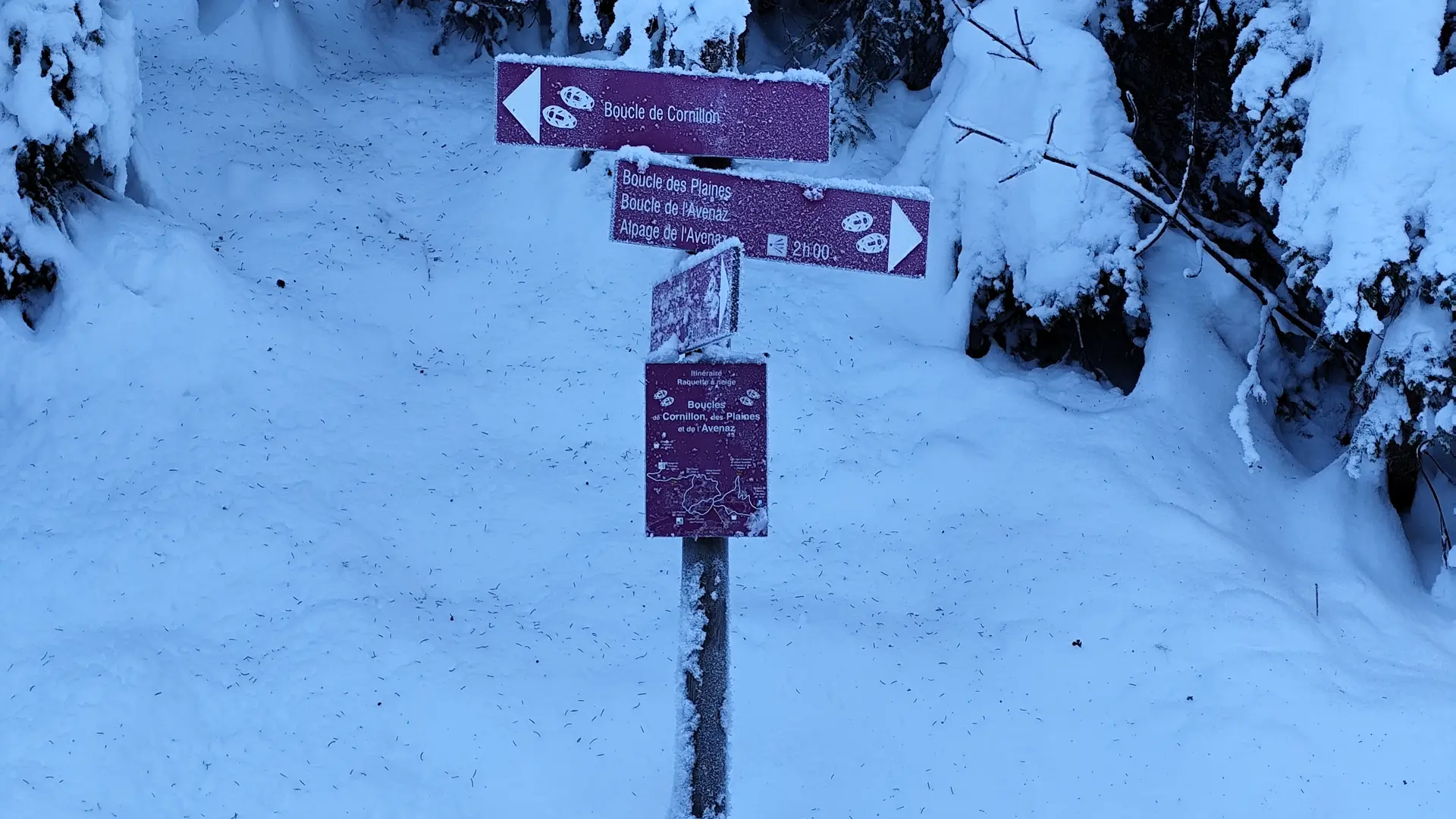 Panneau raquette indiquant la direction de la boucle de Cornillon, des Plaines et de l'Avenaz au carrefour de Cornillon