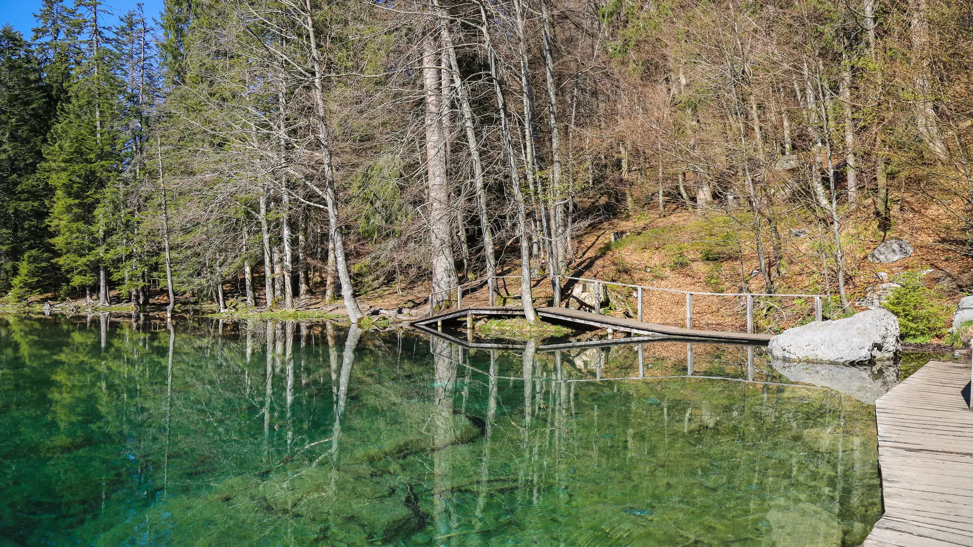 le tour du lac vert -passy