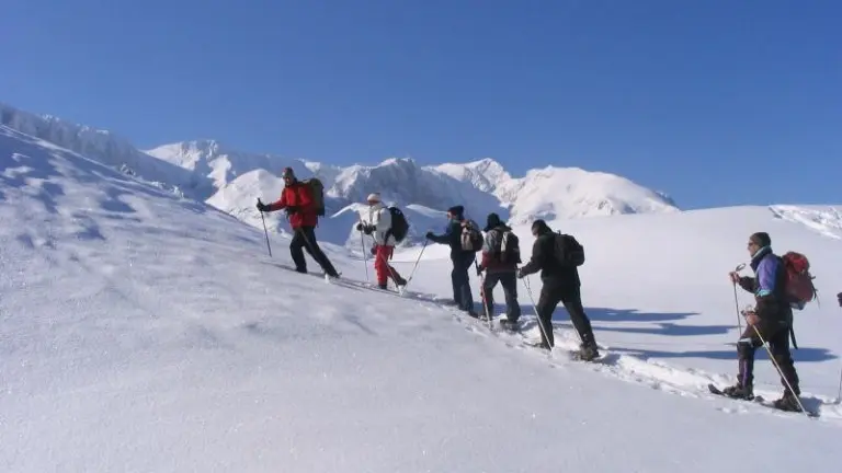 Randonnées en raquettes en Montagne