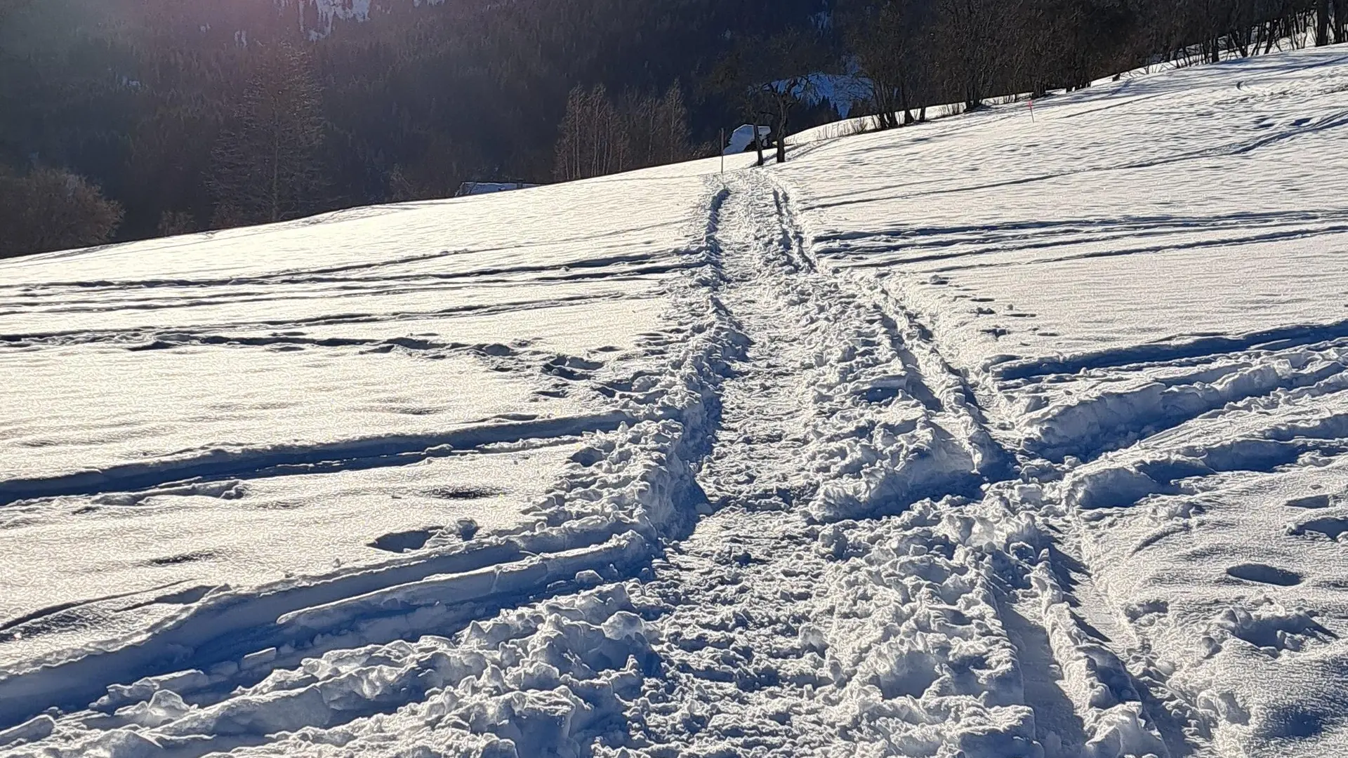 Sentier enneigé non damé