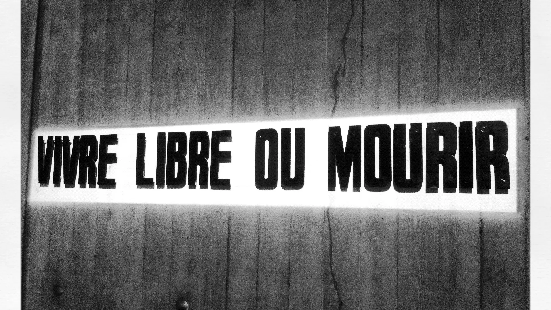Photo Phrase libre ou mourrir