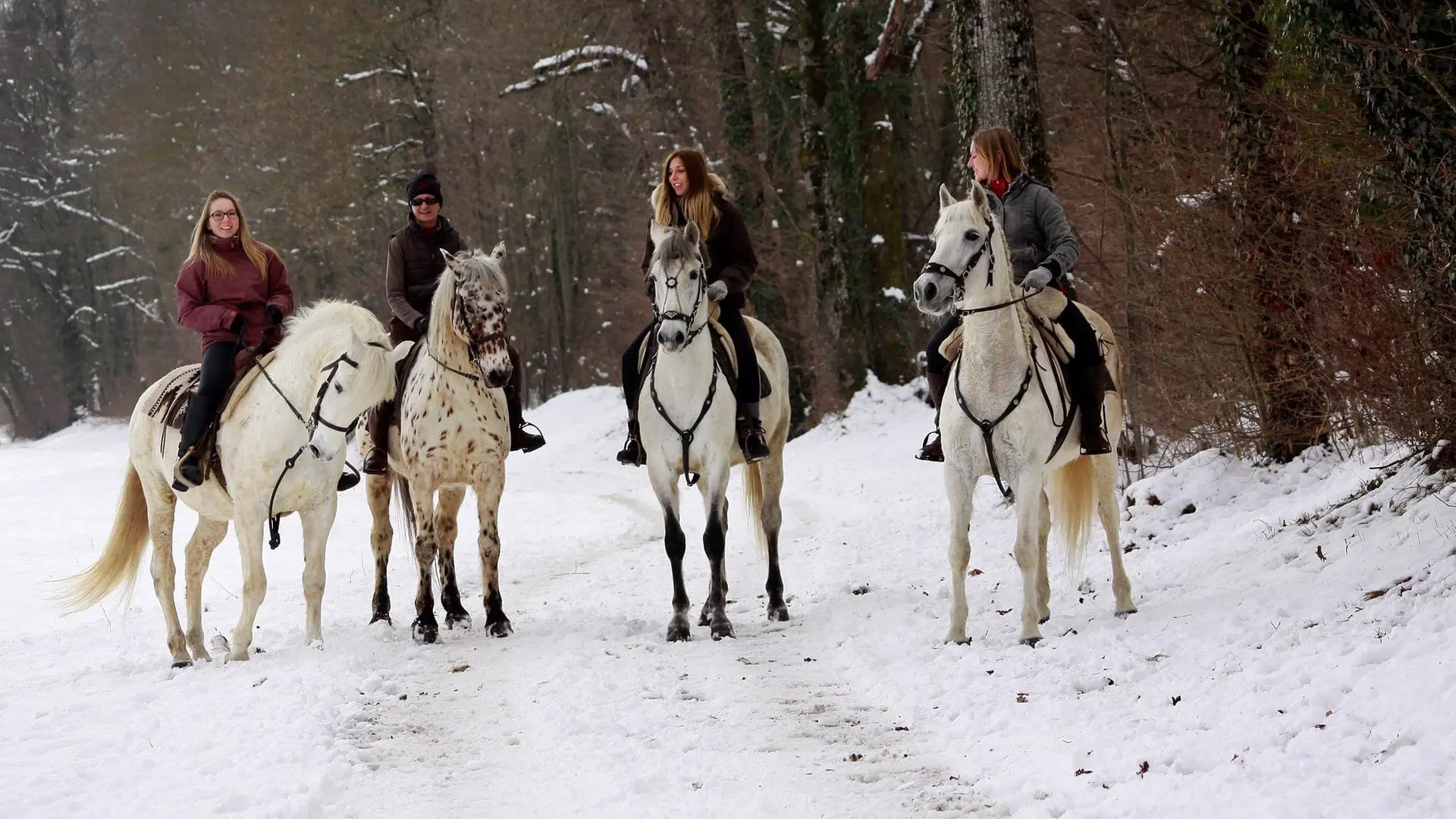 4 cavalières à cheval dans la neige en forêt