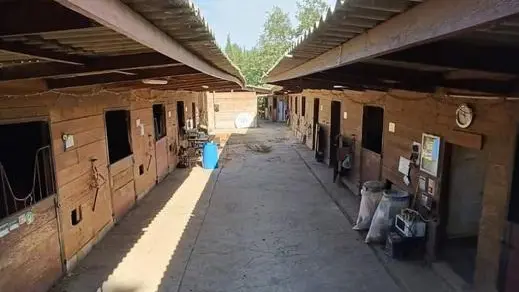 Centre équestre Le Jas des Rocs - Gîte le Moderne - Contes - Gîtes de France Alpes-Maritimes