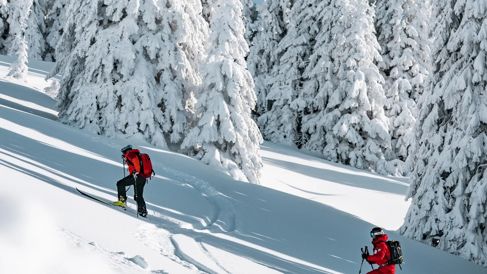 Ski de randonnée