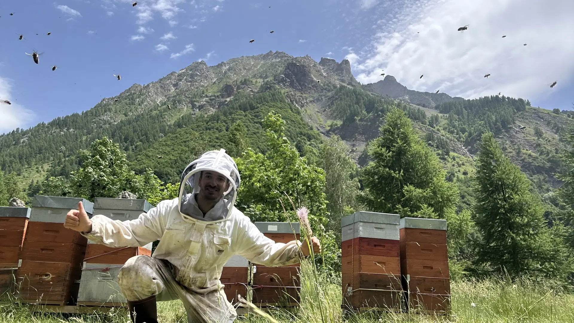 Les Ruches d'Orcières_Orcières