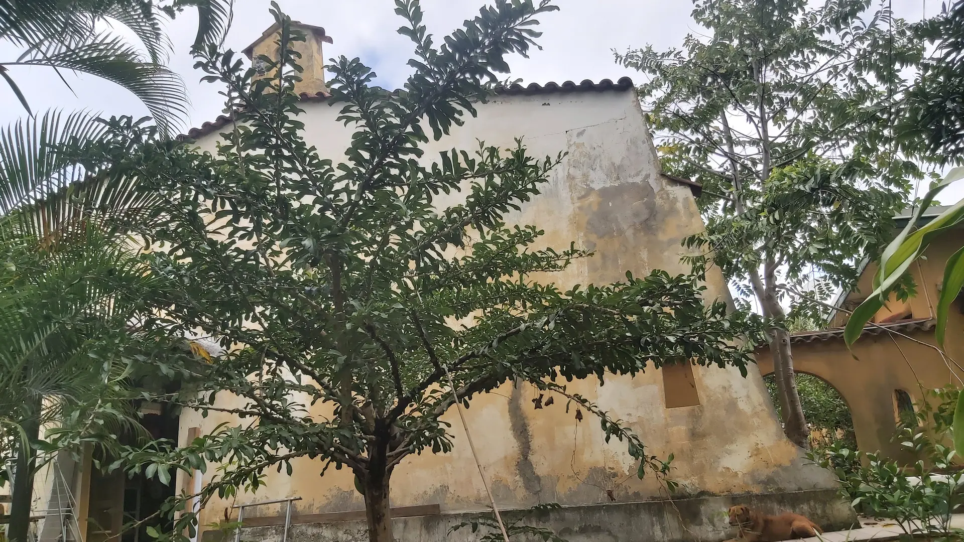 Une découverte tout en 1, avec celle du lieu de votre atelier : une ancienne chapelle adventiste, avec ses matériaux d'origine