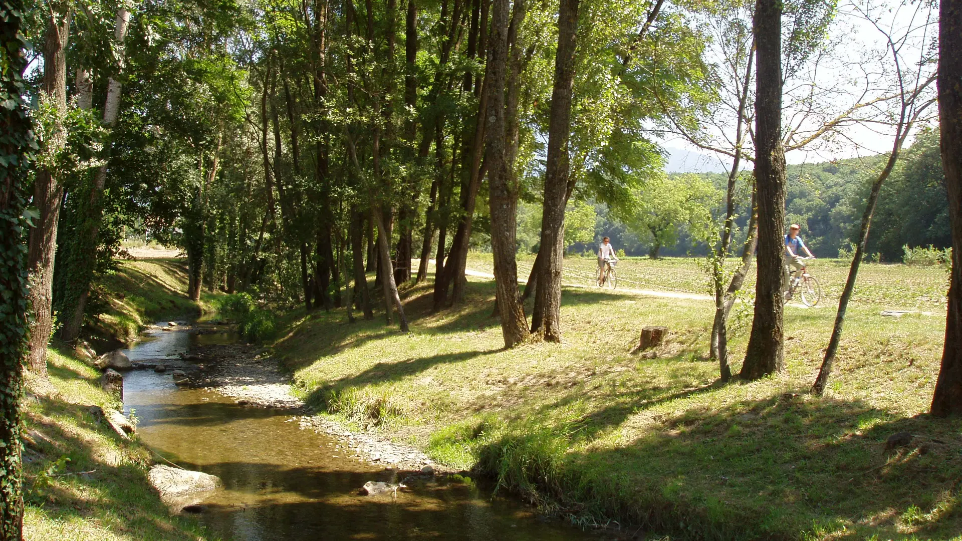 Les bords du Foron