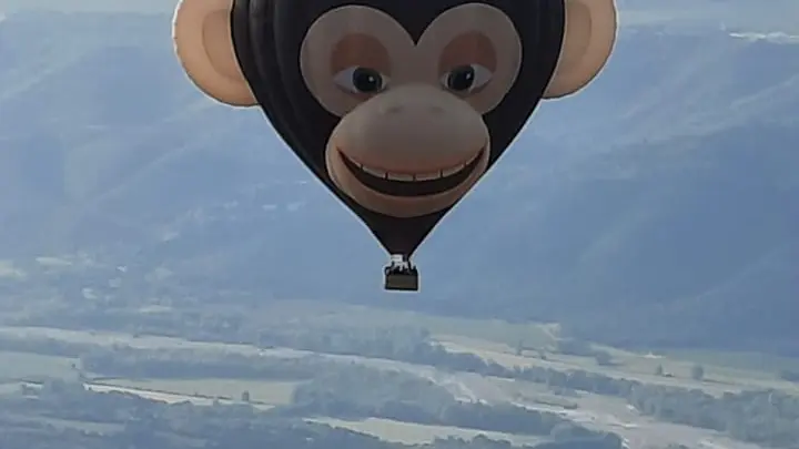 Montgolfière singe
