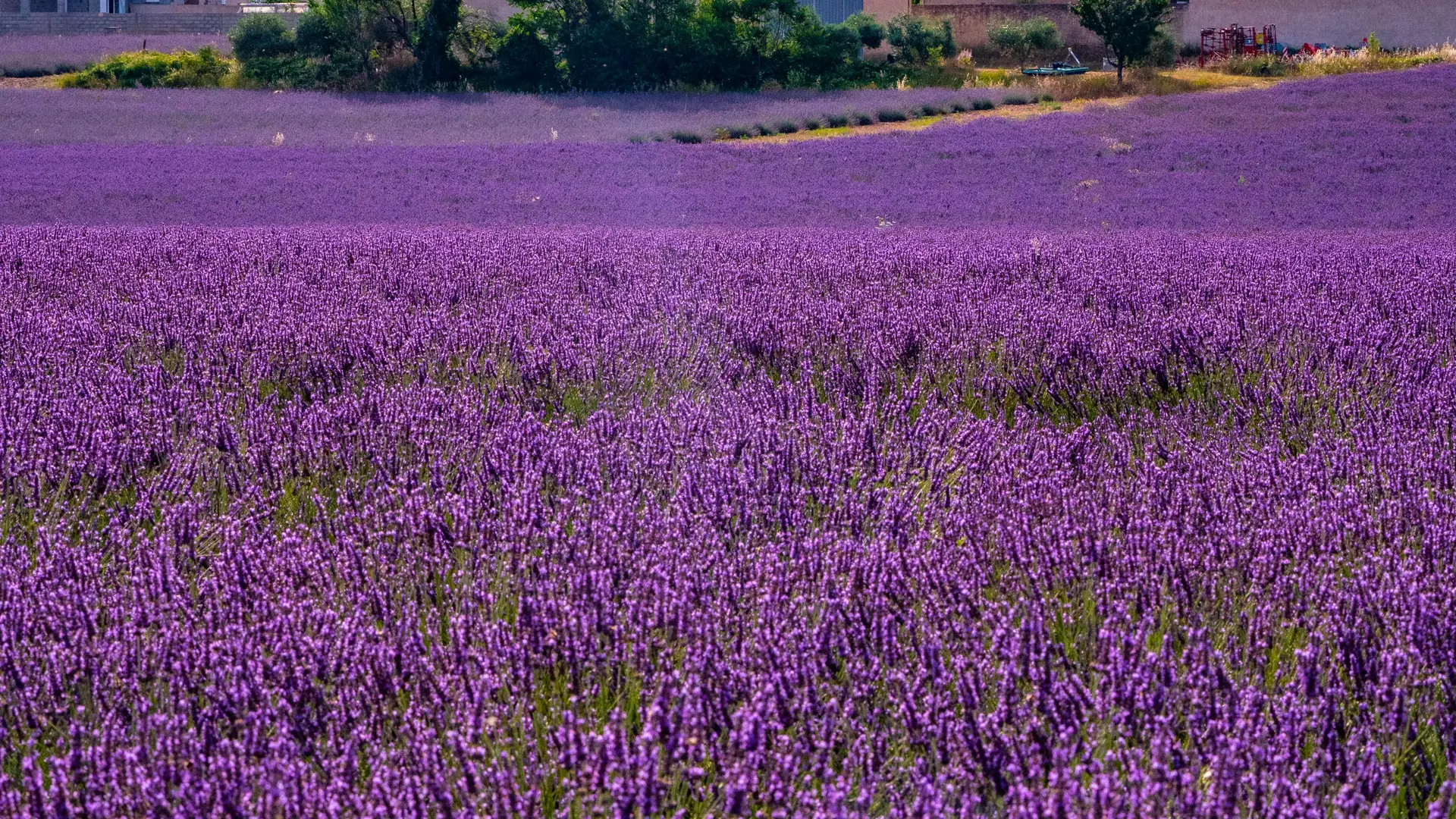 Vol en montgolfière