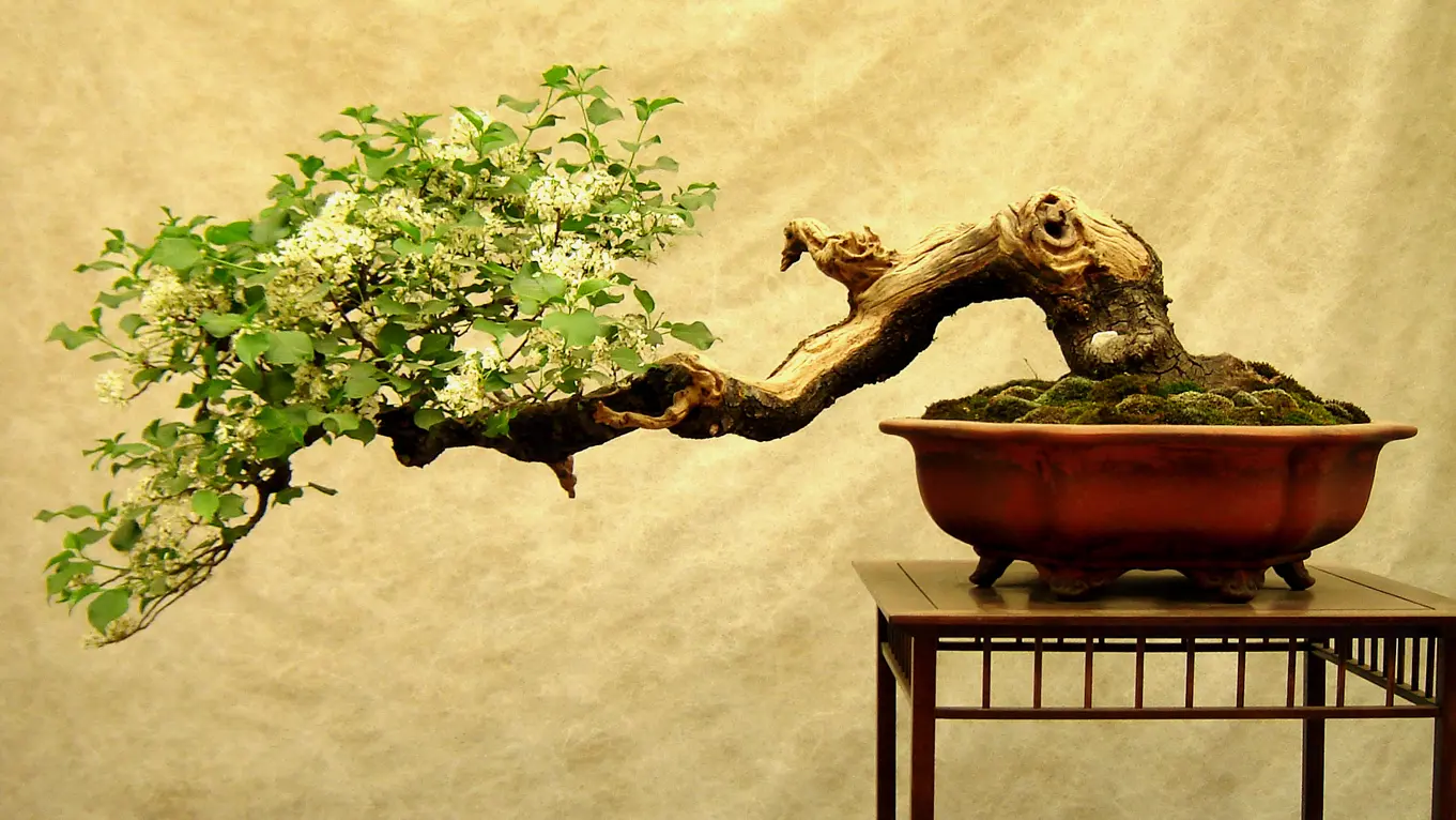 Massage aux Carroz Haute Savoie