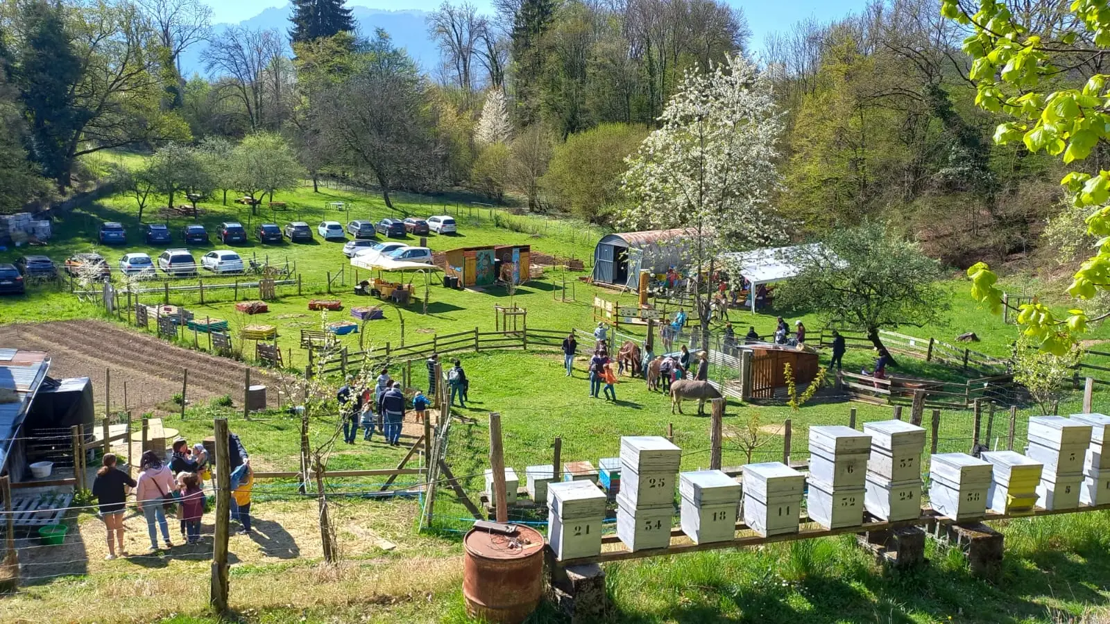 Ruchers du Haut Chablais